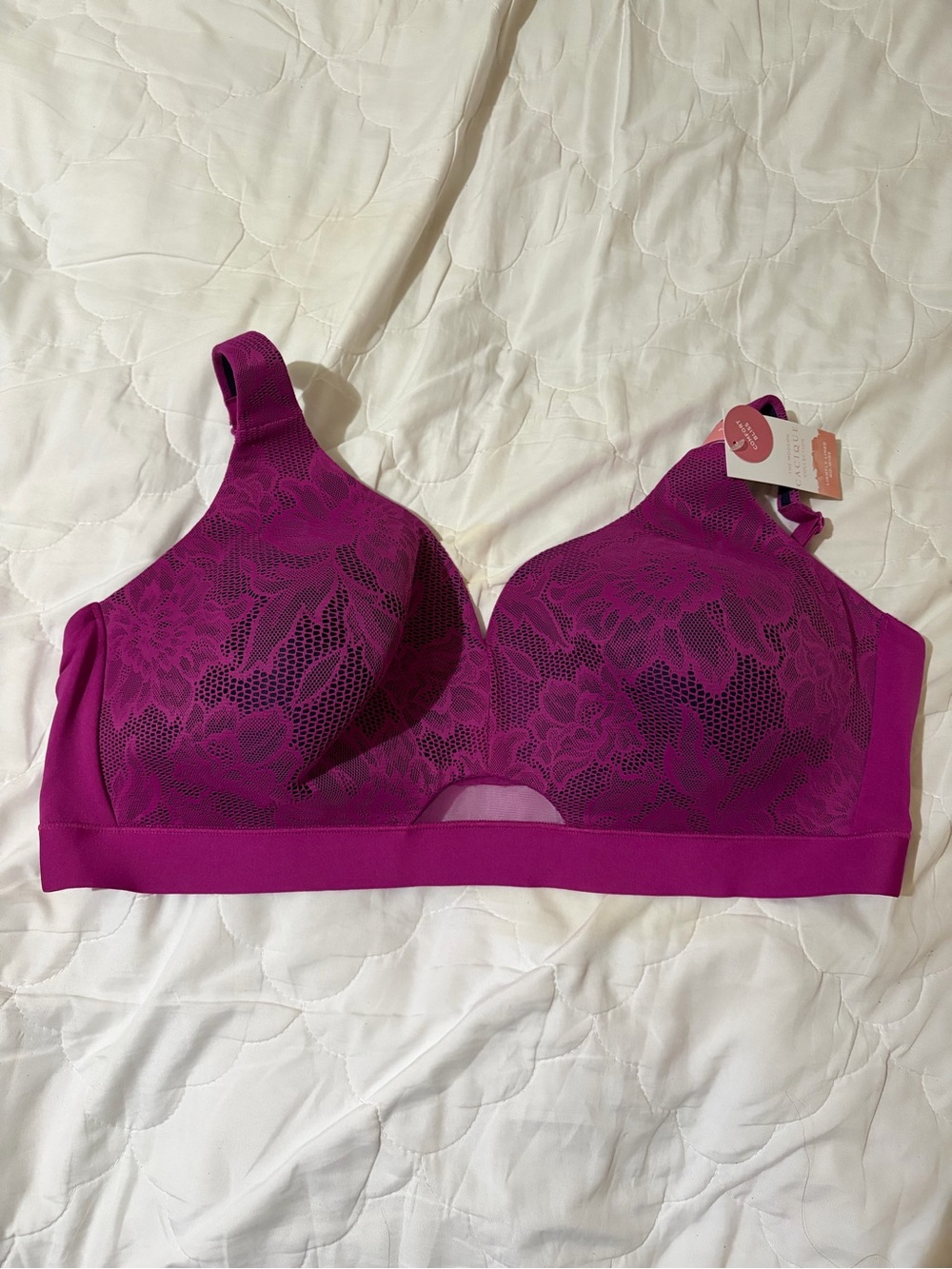 Cacique Wireless Floral Lace Bra in Magenta